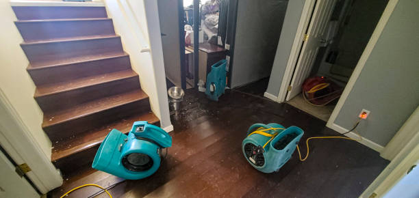 Best Water damage restoration near me  in , SC