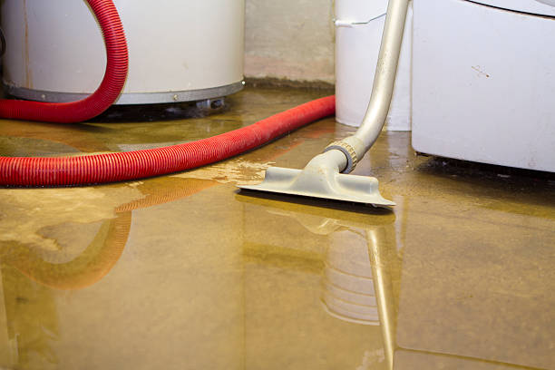Best Ceiling water damage repair  in , SC
