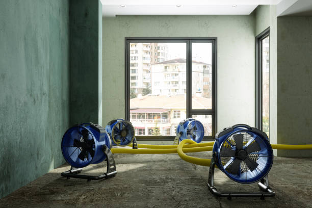  , SC Water damage restoration Pros