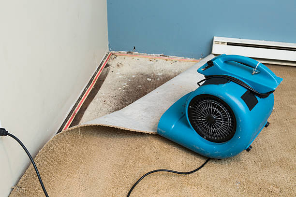 Best Residential water damage restoration  in , SC